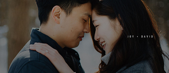 Joy-David-Engagement-Banner-02