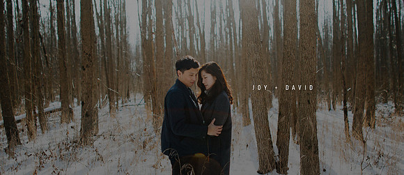 Joy-David-Engagement-Banner