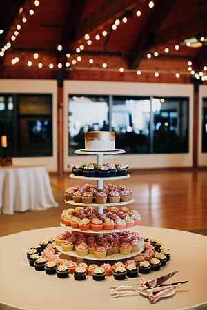 Nacole-Matt-Reception-049
